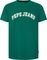 T-SHIRT PEPE JEANS CLEMENT PM509220 JUNGLE GREEN (S)