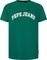 T-SHIRT PEPE JEANS CLEMENT PM509220 654  (M)