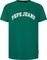 T-SHIRT PEPE JEANS CLEMENT PM509220 JUNGLE GREEN (M)