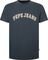 T-SHIRT PEPE JEANS CLEMENT PM509220 977   (S)