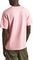 T-SHIRT PEPE JEANS CLIFTON PM509374 ASH ROSE PINK (S)