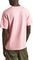 T-SHIRT PEPE JEANS CLIFTON PM509374 323  (S)