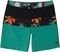   QUIKSILVER SURFSILK PANEL 18 AQYBS03656 / (36)