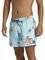  BOXER QUIKSILVER EVERYDAY MIX VOLLEY 15 AQYJV03147  (M)