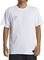 T-SHIRT QUIKSILVER ALEX KOPPS CAN AQYZT09596 ...