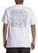 T-SHIRT QUIKSILVER ALEX KOPPS CAN AQYZT09596  (S)