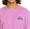 T-SHIRT QUIKSILVER MW MINI LOGO EQYZT07657 VIOLET (S)