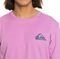 T-SHIRT QUIKSILVER MW MINI LOGO EQYZT07657  (M)