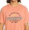 T-SHIRT QUIKSILVER FLOATING AROUND EQYZT07675 CANYON CLAY (S)