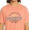 T-SHIRT QUIKSILVER FLOATING AROUND EQYZT07675 CANYON CLAY (XL)