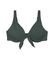 BIKINI TOP TRIUMPH SUMMER EXPRESSION W 03 SD   (38C)