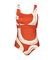   TRIUMPH SUMMER ALLURE OW 02 / (42E)