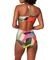   TRIUMPH SUMMER EXPRESSION OP 03 PT  (40B)