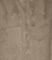  VERO MODA VMMONROE SHORT 10315328  (XS)
