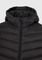  FUNKY BUDDHA FBM010-002-01  (L)