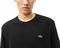  LACOSTE AH2916 031  (M)