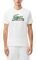T-SHIRT LACOSTE TH2508 737 /