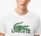 T-SHIRT LACOSTE TH2508 737 /(M)