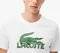 T-SHIRT LACOSTE TH2508 737 ΛΕΥΚΟ/ΠΡΑΣΙΝΟ(XXL) T-SHIRT LACOSTE TH2508 737 ΛΕΥΚΟ/ΠΡΑΣΙΝΟ(XXL)