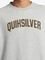  QUIKSILVER GRAPHIC AQYFT03398    (M)