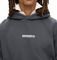 HOODIE SUPERDRY MICRO LOGO GRAPHIC M2013727A PIJ   (S)