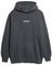HOODIE SUPERDRY MICRO LOGO GRAPHIC M2013727A PIJ   (S)