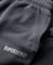   SUPERDRY MICRO LOGO GRAPHIC M7011144A   (M)