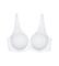  TRIUMPH AMOURETTE W01  (90F)