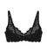  TRIUMPH AMOURETTE W  (85D)