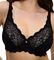  TRIUMPH AMOURETTE W  (85F)