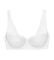  TRIUMPH AMOURETTE WHP  (95B)