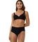  TRIUMPH AMOURETTE WHP  (90E)