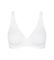  SLOGGI BASIC+ SOFT BRA  (85B)