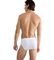  SLOGGI MEN EVER EASE BRIEF 2P  (XL)