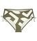 BIKINI BRIEF TRIUMPH SUMMER ALLURE MAXI EX   (46)