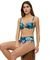 BIKINI TOP TRIUMPH SUMMER FLEUR WP    (44C)
