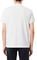 T-SHIRT POLO LACOSTE DH2050 001  (M)