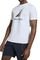 T-SHIRT NAUTICA POLLOCK N1R02902 908  (L...