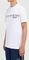 T-SHIRT ELLESSE LENTAL SHZ21987 908  (S)