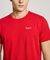 T-SHIRT PEPE JEANS ORIGINAL BASIC PM508212 285 ������� (L)