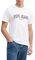 T-SHIRT PEPE JEANS DERRIL PM509766 800 ����� ...