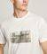 T-SHIRT PEPE JEANS DALTER PM509780 803 ΕΚΡΟΥ (M) T-SHIRT PEPE JEANS DALTER PM509780 803 ΕΚΡΟΥ (M)