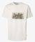 T-SHIRT PEPE JEANS DALTER PM509780 803 ΕΚΡΟΥ (M) T-SHIRT PEPE JEANS DALTER PM509780 803 ΕΚΡΟΥ (M)