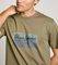 T-SHIRT PEPE JEANS DALTER PM509780 726 ΠΡΑΣΙΝΟ (L) T-SHIRT PEPE JEANS DALTER PM509780 726 ΠΡΑΣΙΝΟ (L)