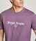 T-SHIRT PEPE JEANS DALE PM509783 491  (S)