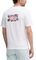 T-SHIRT PEPE JEANS BACK CLAG PM509921 800  (M)
