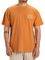 T-SHIRT QUIKSILVER CL FREEDOM SWELL EQYZT0802...