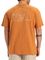 T-SHIRT QUIKSILVER CL FREEDOM SWELL EQYZT08027   (L)