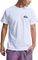 T-SHIRT QUIKSILVER EV MINI LOGO EQYZT08042 ��...