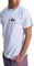 T-SHIRT QUIKSILVER EV MINI LOGO EQYZT08042  (S)